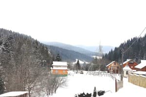 У Бервінових 8