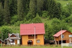 У Бервінових 11