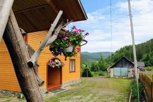 У Бервінових 12