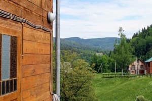 У Бервінових 9