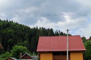 У Бервінових 10