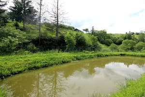 У Богдана 12