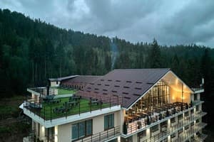 У Борисовича 2