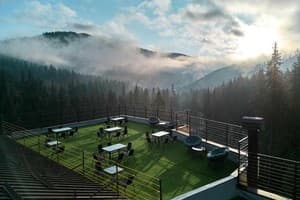 У Борисовича 8