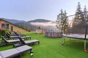 У Борисовича 7