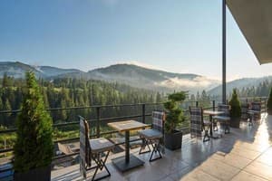 У Борисовича 5