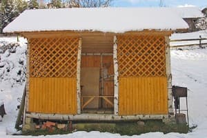 У Демьяна 13