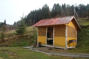 У Демьяна 12