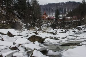 У Кухарских 6