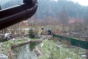 У Кузьмича  4