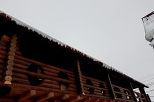 У Лилианы 12