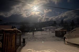 У Лилианы 11