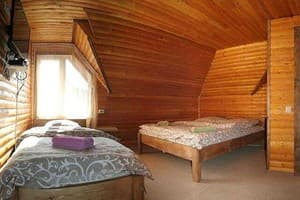 У Михаила и Олеси 1