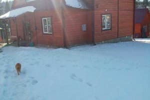 У Миколки 10