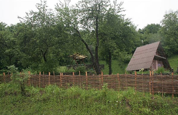 У Мирона 2