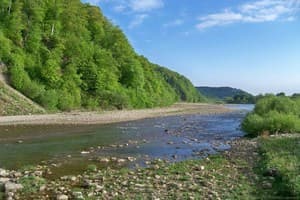 У Миши и Ани 3