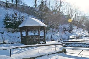 У Миши и Ани 7