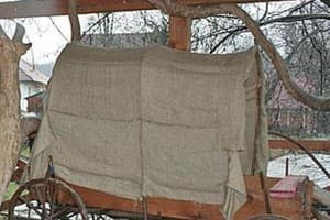 У Миши и Ани 9