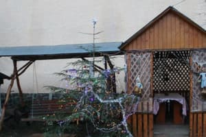 У Миши и Веры 11