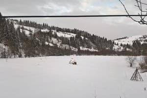 У Миши и Веры 19