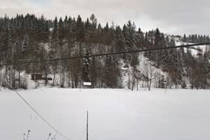 У Миши и Веры 20