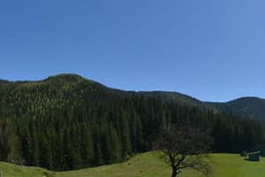 У Петра и Павла 8