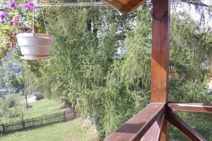 У Петра и Павла 7