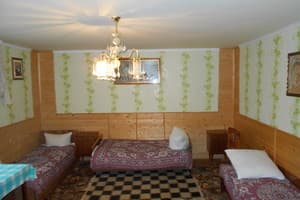 Частная усадьба У Романа и Галины. Эконом трехместный  1