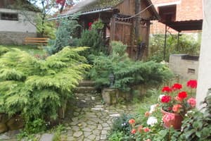 У Старунчаков 4