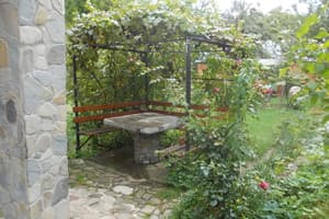 У Старунчаков 5