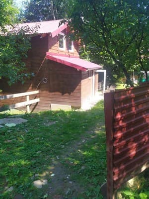 У Василия на Тростяне 32