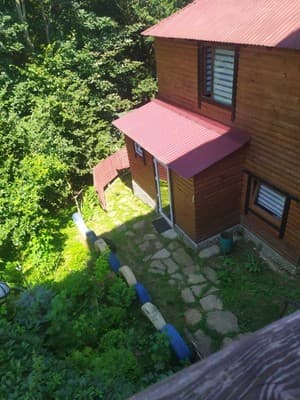 У Василия на Тростяне 31