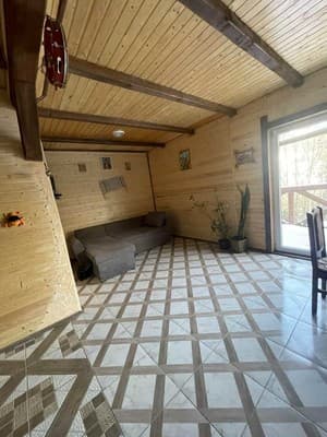У Василия на Тростяне 23