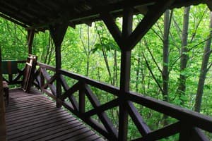 У Василия на Тростяне 29