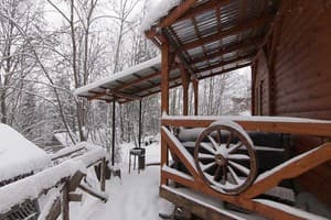 Коттедж У Василия на Тростяне