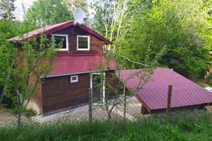 Коттедж У Василия на Тростяне. Коттедж 6-местный №3 14