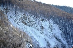 У Ярослава 3