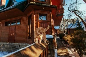 У Ярослава 23