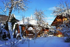 У Ярослава 37