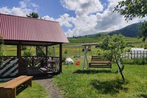 У Яслыгана 6