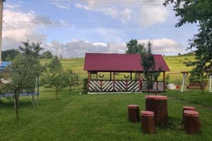 У Яслыгана 11