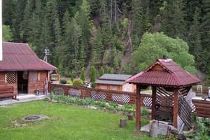 У братьев 10