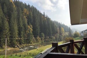 У братьев 12