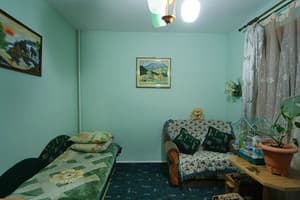 У пани Лили 3