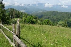 У пані Наталі 6