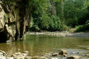 У пані Наталі 7