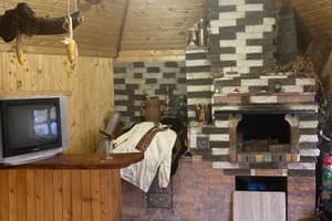 У пані Наталі 6
