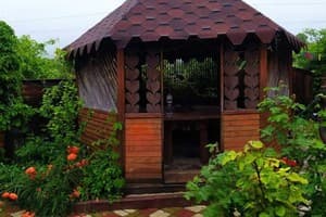 У пані Наталі 1