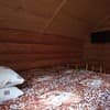 Коттедж У реки. Коттедж 8-местный  5