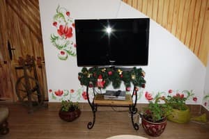 Украиночка 10